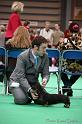 Crufts2011_2 1109